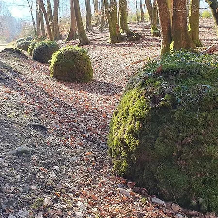 Natur-design 